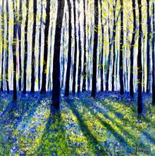 'Bluebell Woods'